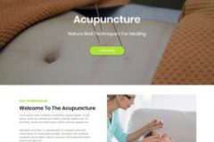 website-design-for-aaaacupuncture-284x300